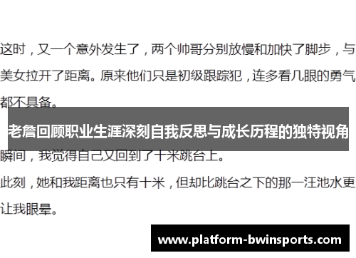 老詹回顾职业生涯深刻自我反思与成长历程的独特视角