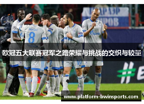 欧冠五大联赛冠军之路荣耀与挑战的交织与较量