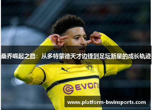 桑乔崛起之路：从多特蒙德天才边锋到足坛新星的成长轨迹