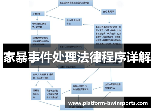 家暴事件处理法律程序详解