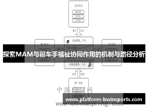 探索MAM与前车手福祉协同作用的机制与路径分析