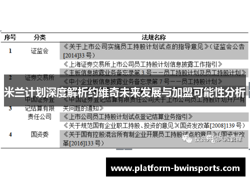 米兰计划深度解析约维奇未来发展与加盟可能性分析