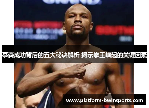 泰森成功背后的五大秘诀解析 揭示拳王崛起的关键因素