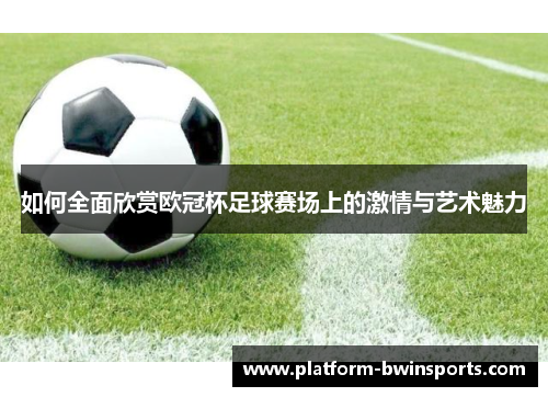 如何全面欣赏欧冠杯足球赛场上的激情与艺术魅力